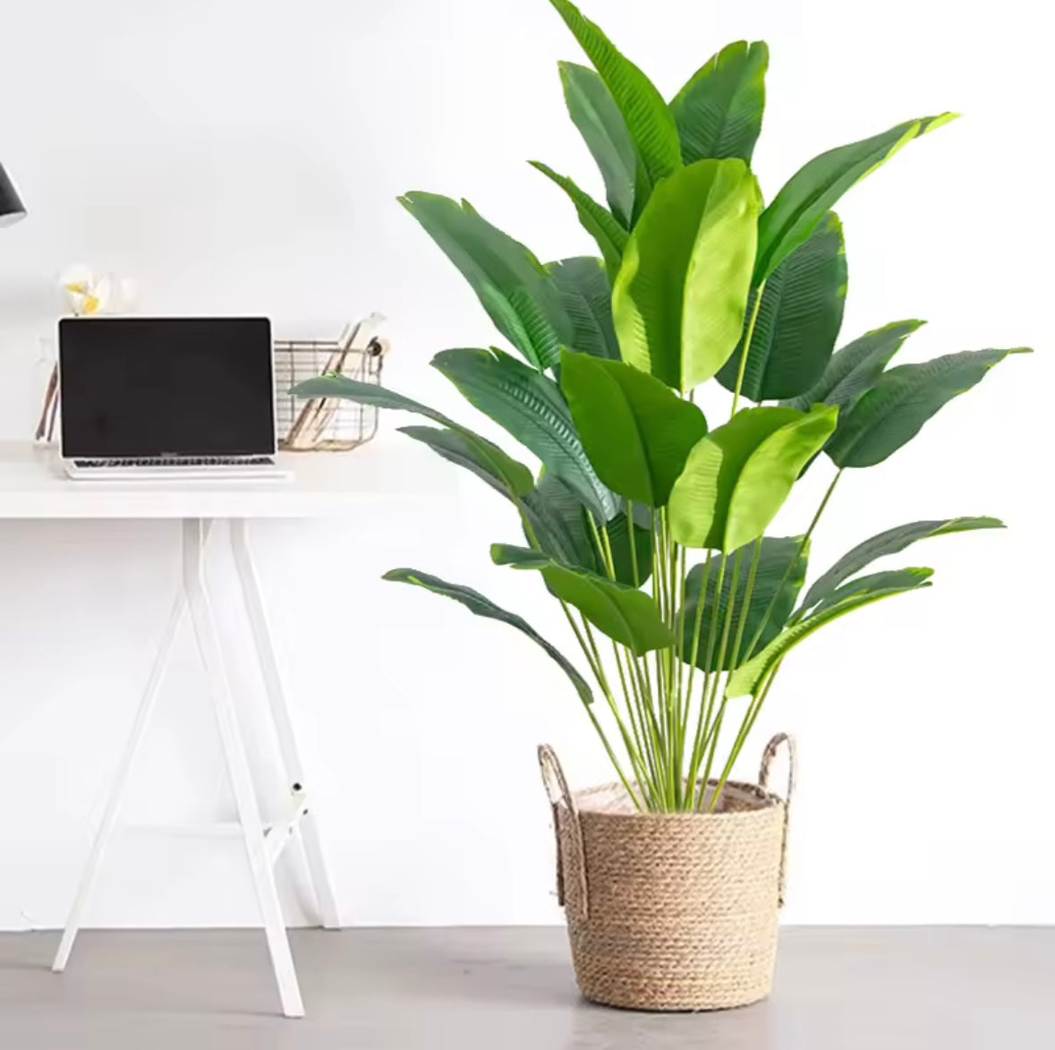Artificial Plants